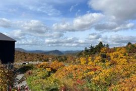 【神の絨毯】栗駒山の紅葉