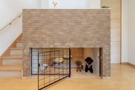 ペットスペース活用法！