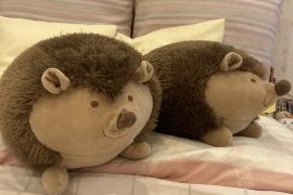 お子様とのご来場、ためらっていませんか？